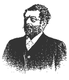 tartaruga